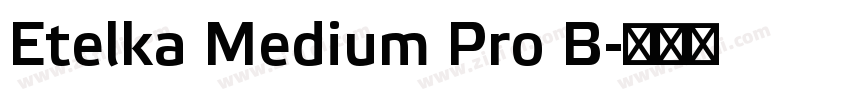 Etelka Medium Pro B字体转换 Etelka Medium Pro B字体转换